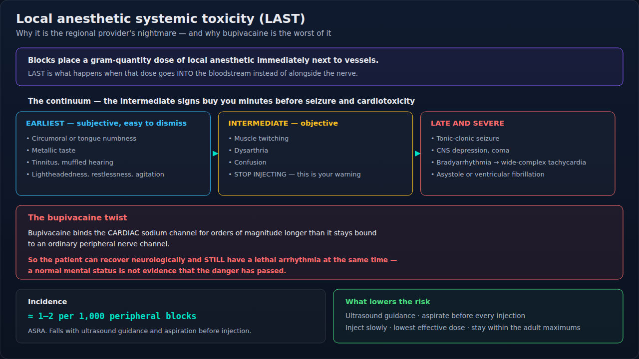 The early-CNS to late-CNS to cardiac continuum, the bupivacaine cardiac-sodium-channel twist, the 1–2 per 1,000 incidence, and what lowers the risk.