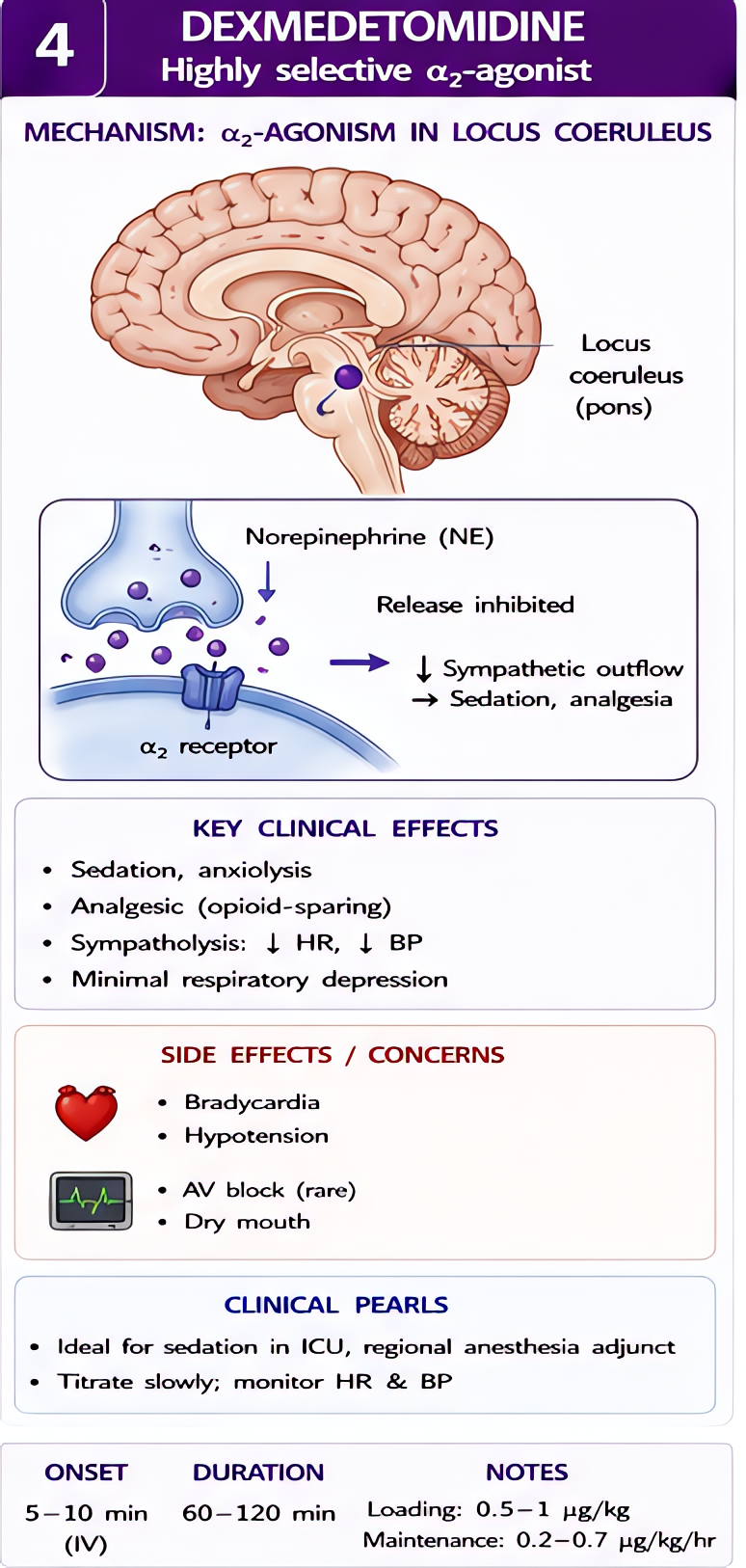 Dexmedetomidine: highly selective α2 agonist in locus coeruleus producing sedation/analgesia without respiratory depression. Lowers sympathetic outflow. Side effects: bradycardia, hypotension, dry mou