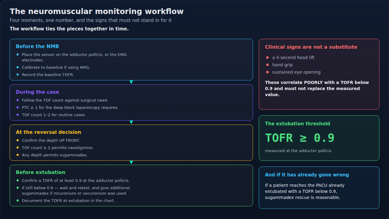 The quantitative monitoring workflow laid out in time, from sensor placement before the relaxant through the reversal decision to extubation. Each stage is a checkpoint with a measured value that must
