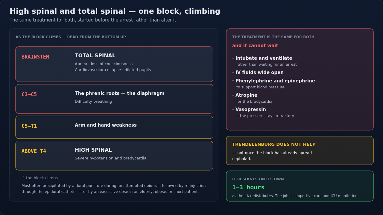 The ascending spinal block drawn as a climb, showing what appears as the level rises toward a total spinal. Read it upward: the treatment is the same throughout, so the levels tell you what to expect.
