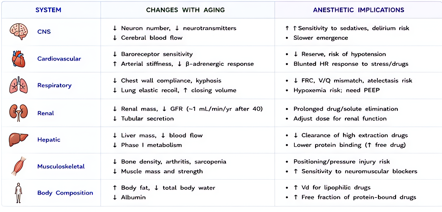 Age-related physiologic changes in the elderly: decreased cardiac reserve, stiff lungs/lower FRC, reduced GFR, hepatic blood flow drop, smaller brain mass and altered pharmacodynamics increasing anest
