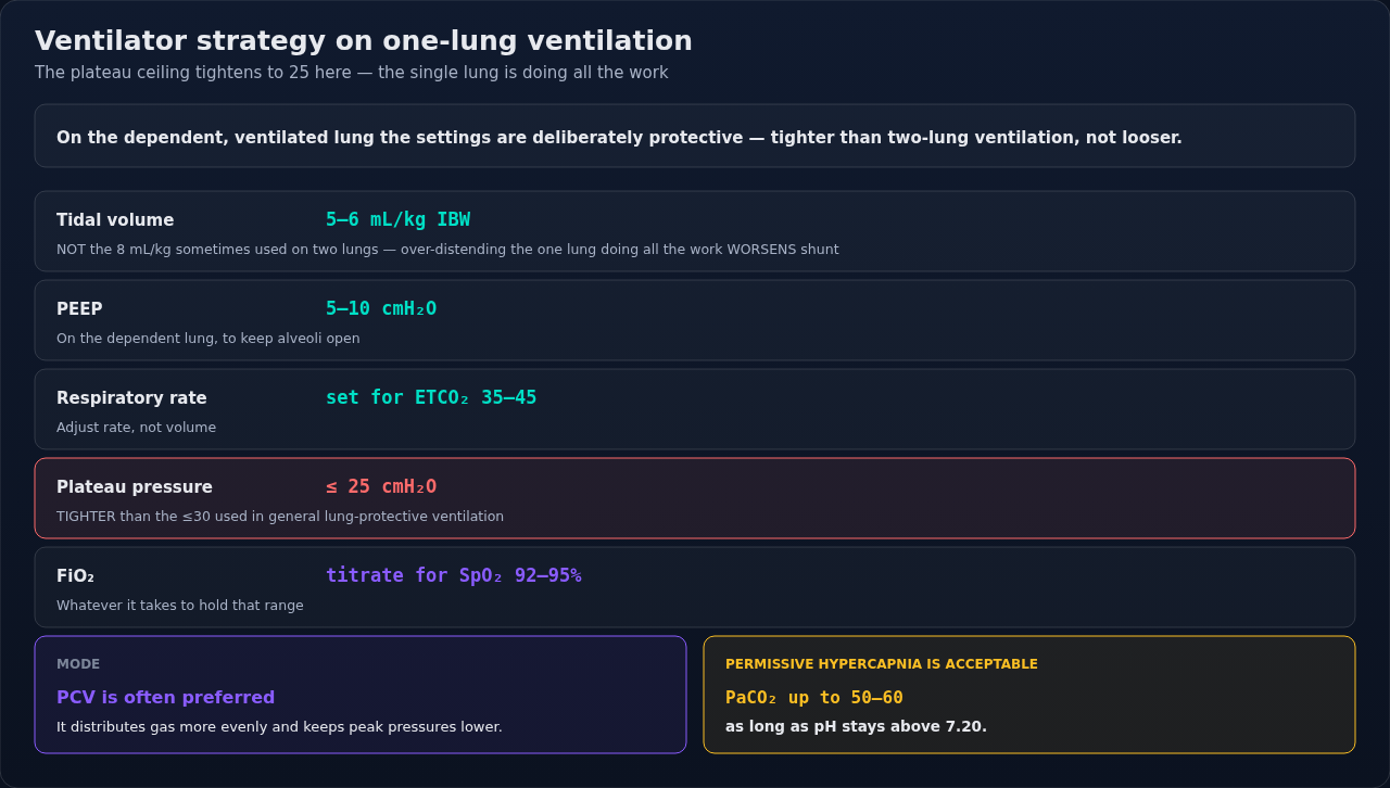 Ventilator settings for the dependent lung during one-lung ventilation. They are deliberately tighter than two-lung settings rather than looser, and that inversion is the thing to carry away.