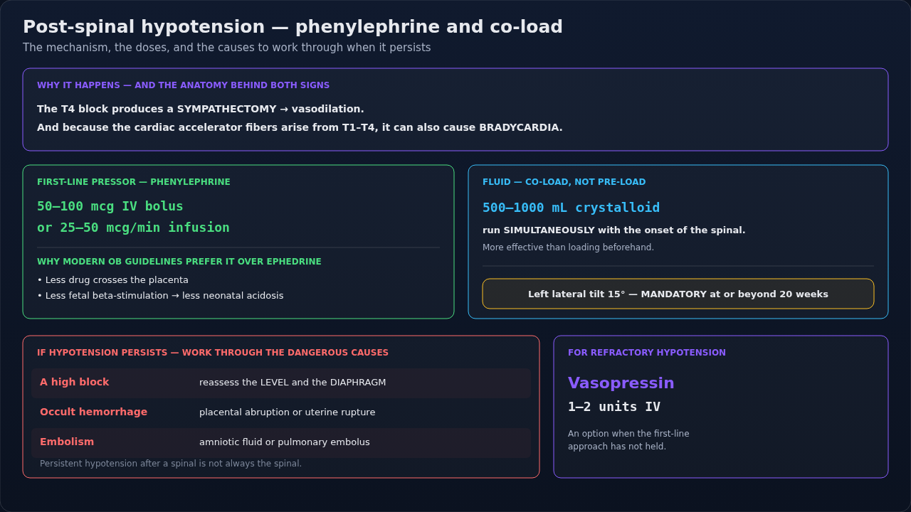 Managing hypotension after a spinal for cesarean delivery: the pressor and fluid strategy, positioning, and what to look for when it does not respond. The mechanism of the block is what dictates the t