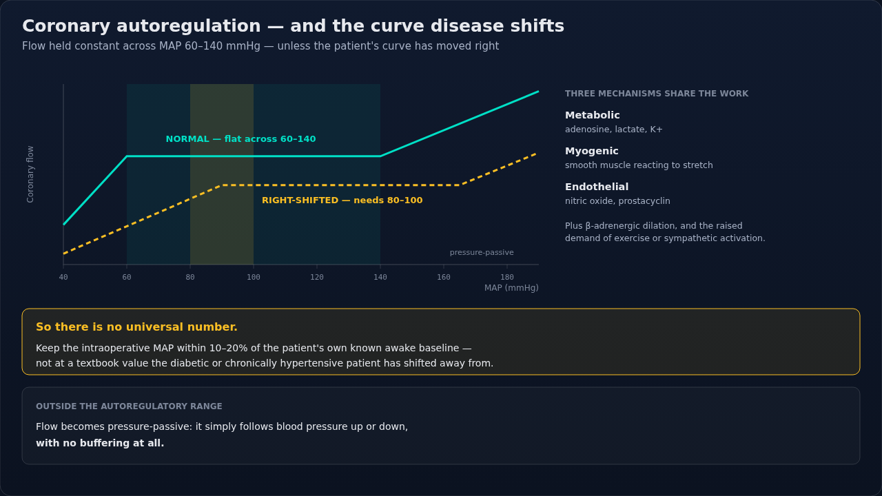Coronary blood flow plotted against mean arterial pressure, showing the normal autoregulatory plateau beside the right-shifted curve of chronic disease. Compare where each curve loses its plateau — th