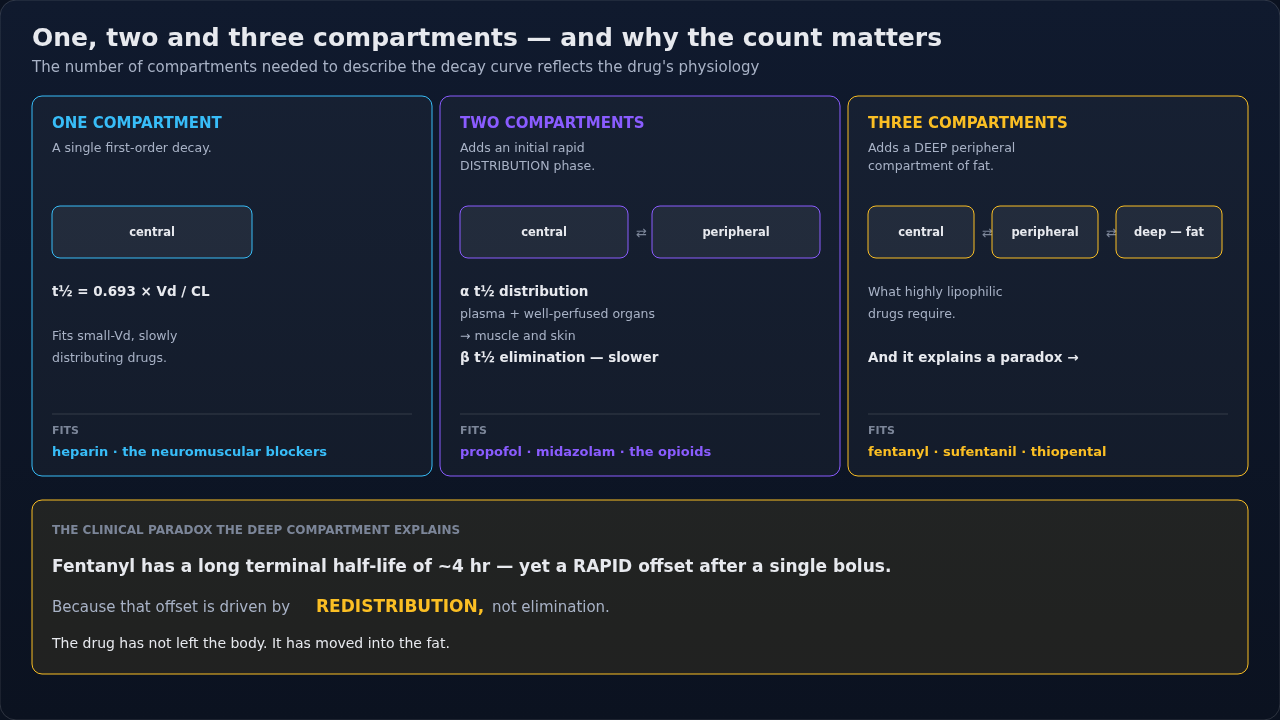 The one-, two-, and three-compartment models side by side, with the drugs each one fits. Compare the curves left to right: every compartment added puts another phase into the fall in plasma concentrat