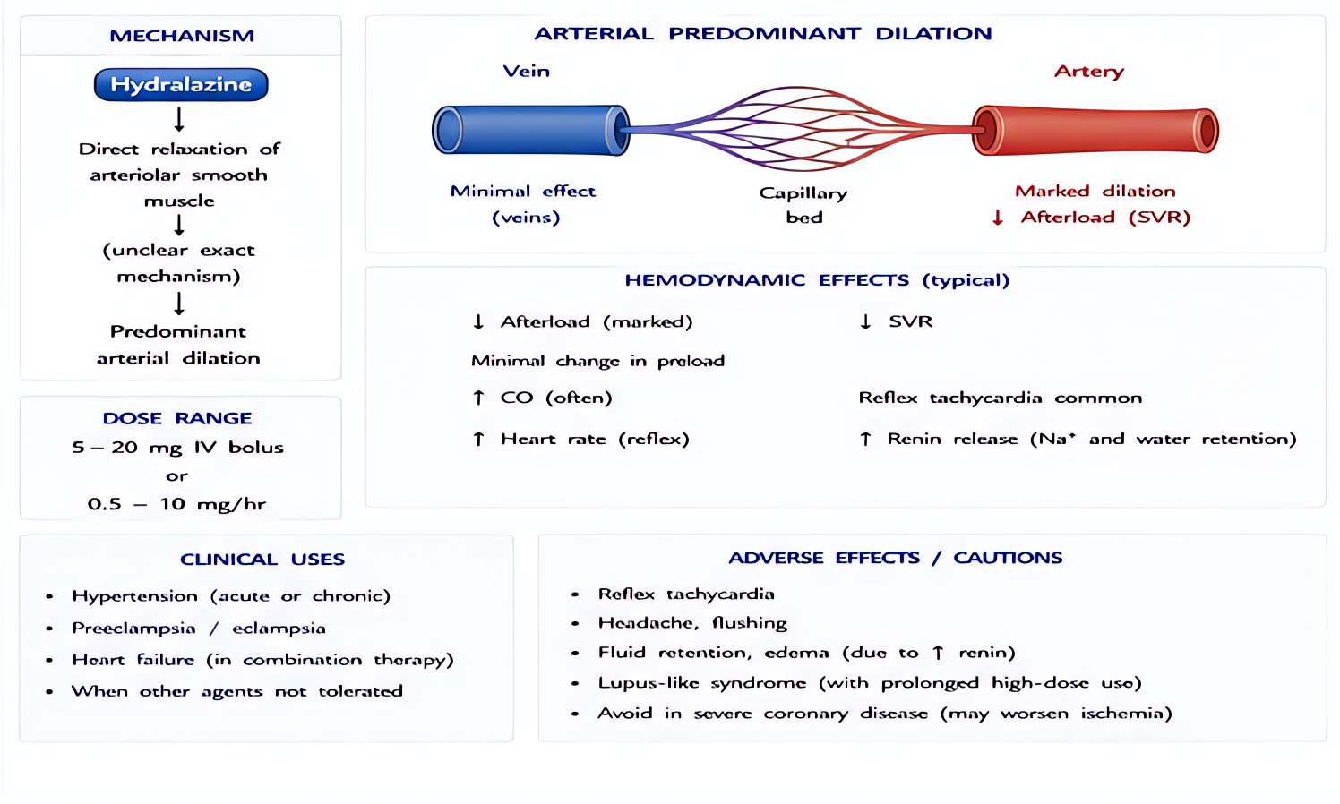 Hydralazine arterial vasodilator: reduces afterload via direct arteriolar smooth muscle relaxation; reflex tachycardia common; useful for pregnancy-induced hypertension; lupus-like syndrome with chron