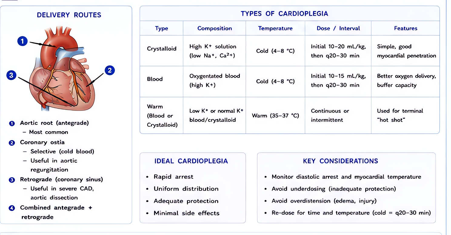 Cardioplegia delivery strategies: blood vs crystalloid, antegrade vs retrograde, cold vs warm; goal is myocardial protection during cross-clamp via hyperkalemia-induced diastolic arrest and hypothermi