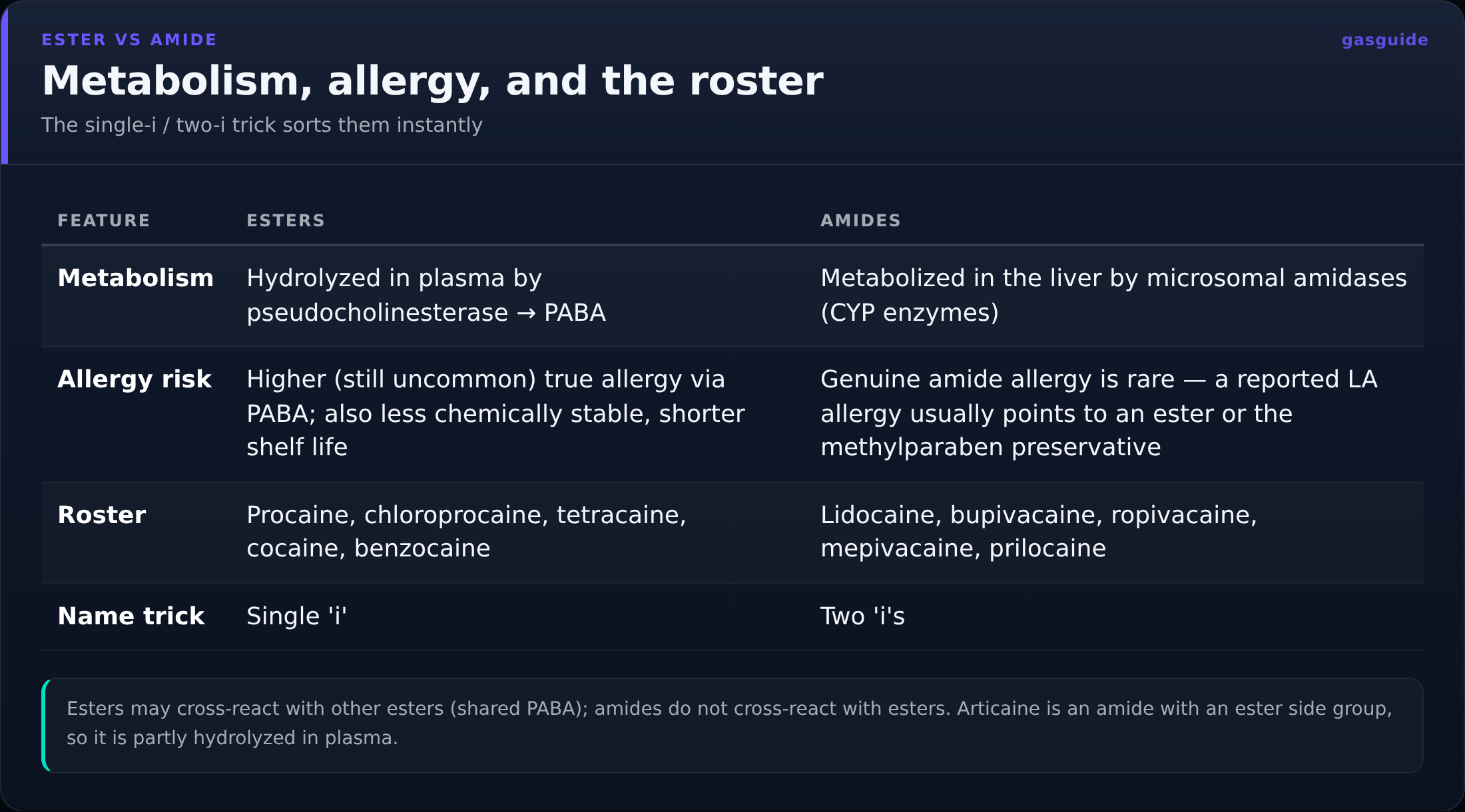 Metabolism, allergy, and the roster — The single-i / two-i trick sorts them instantly