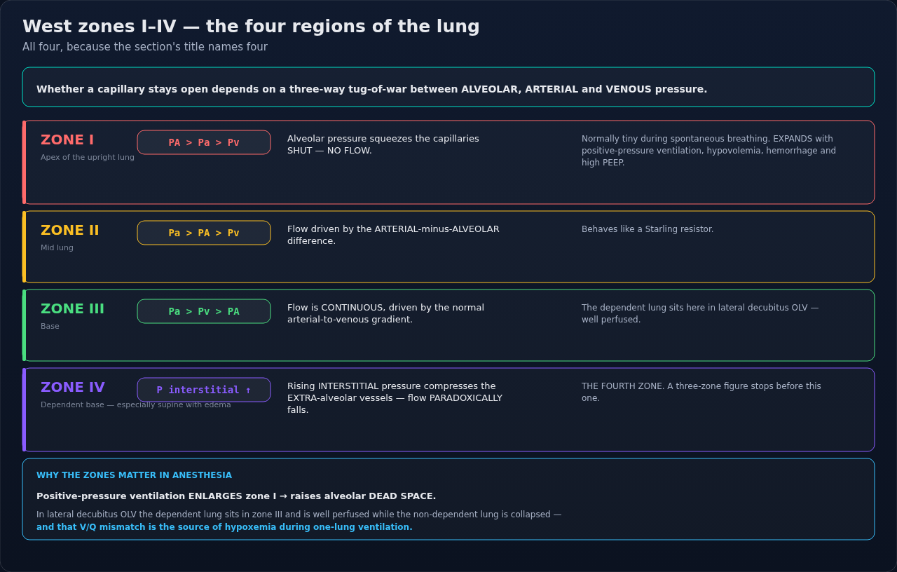 The four West zones of the upright lung, each defined by how alveolar, arterial, and venous pressures rank against one another. Read top to bottom: what changes is the ordering of those three pressure
