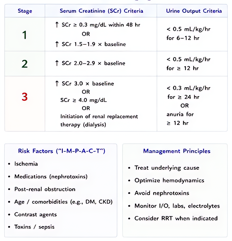 Acute kidney injury (AKI) KDIGO staging: Stage 1 SCr 1.5-1.9x baseline or UO <0.5 mL/kg/h x 6-12h; Stage 2 2-2.9x; Stage 3 >=3x or SCr >=4 or RRT. Risk factors include CHF, DM, contrast and management