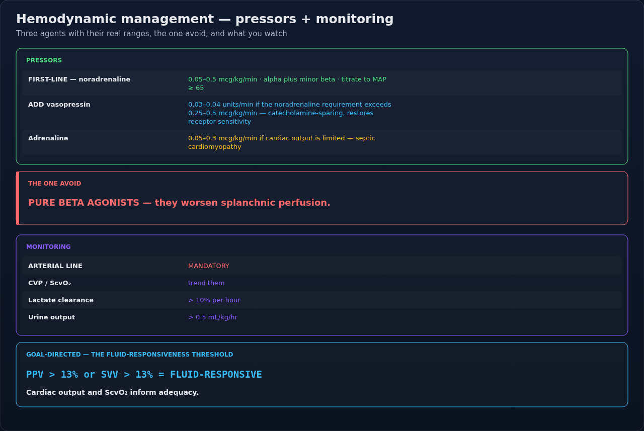 The vasopressors used in septic shock in the order they are added, with the monitoring targets that guide titration alongside. Read it top to bottom as an escalation sequence, not a menu.