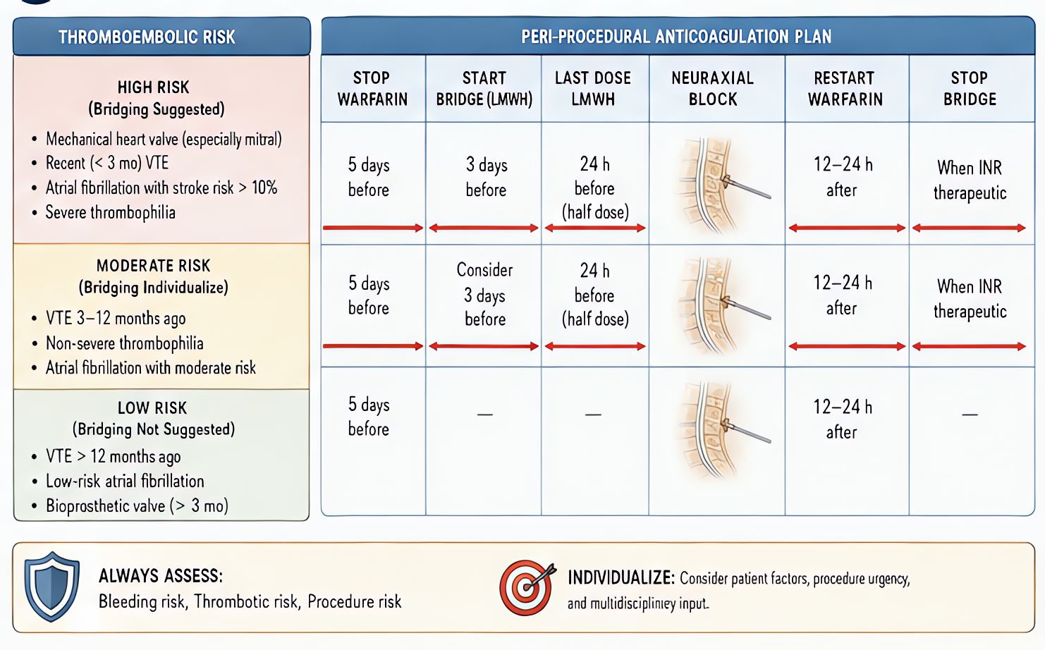 Bridge anticoagulation decision guide: high-risk patients (mechanical valves, recent VTE, AF with prior stroke) bridge with LMWH; low-risk patients hold without bridging; balance thrombosis vs bleedin