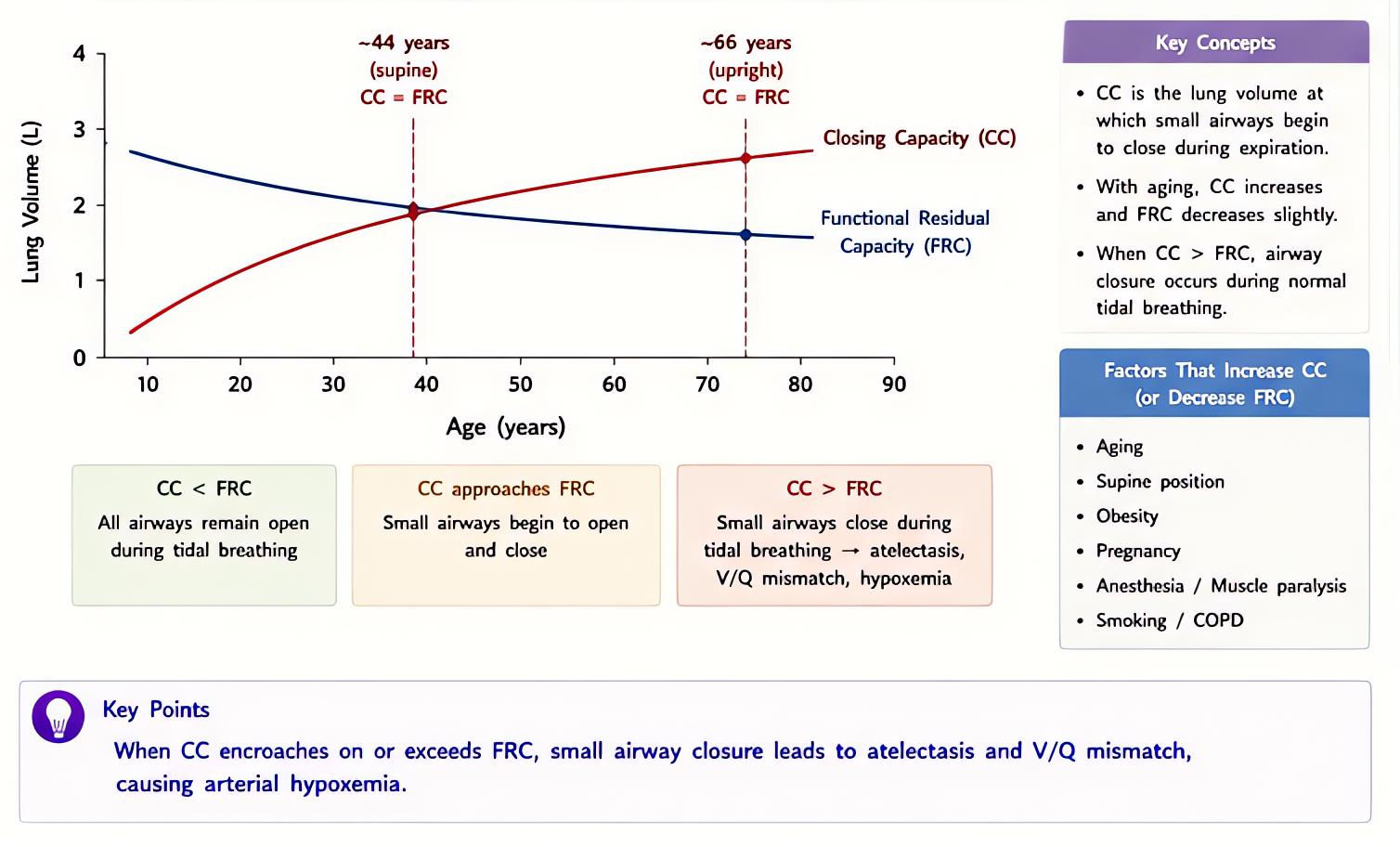 Closing capacity (CC) vs FRC across age: CC progressively rises with age and exceeds FRC supine ~age 44 and standing ~age 66, causing small airway closure during tidal breathing and V/Q mismatch.