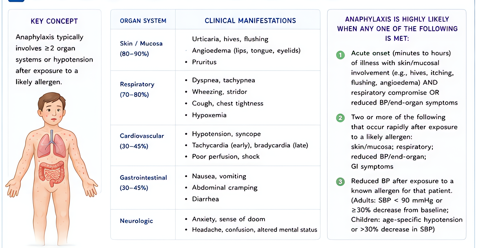 Anaphylaxis recognition: hives, hypotension, bronchospasm, angioedema; commonly within minutes of trigger exposure. Most likely if 2+ organ systems involved (skin, respiratory, CV, GI).