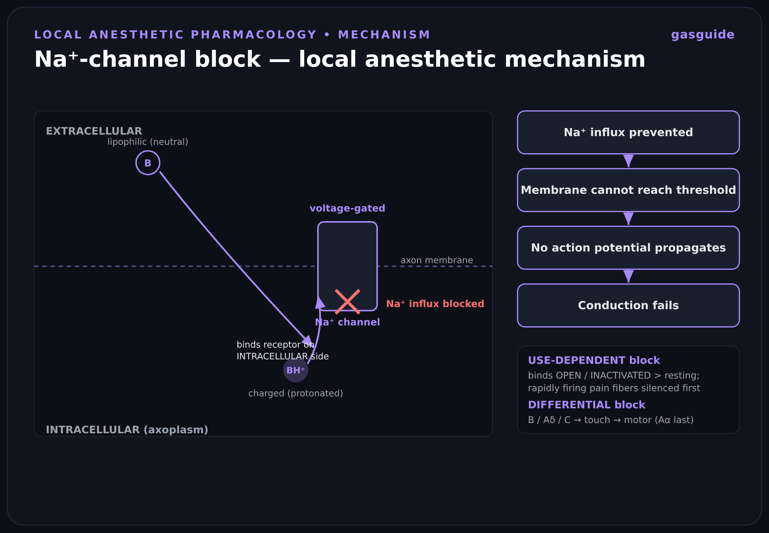 Na⁺-channel block — local anesthetic mechanism
