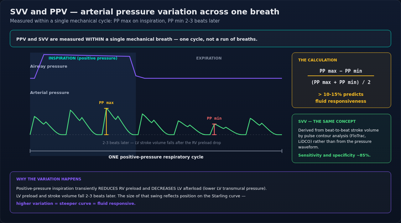 How pulse pressure and stroke volume variation arise inside a single mechanical breath, traced from the airway pressure above to the arterial waveform below. Follow the delay between the two traces; t