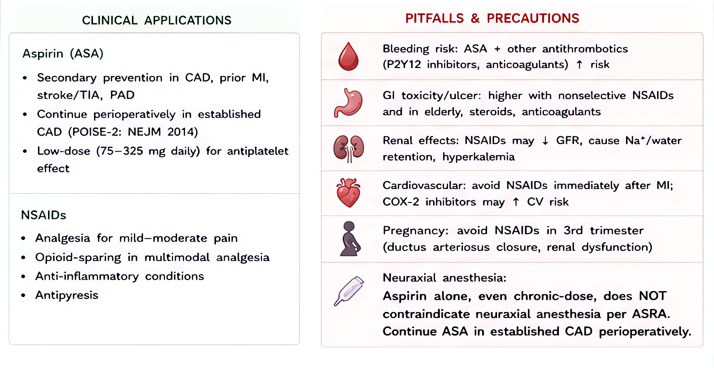 ASA and NSAID clinical applications and pitfalls: useful for mild-moderate pain, fever, inflammation, antiplatelet; avoid in third trimester, renal failure, active GI bleeding; consider regional or al